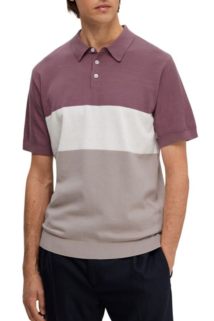 Abbigliamento SELECTED | Slhmattis Ss Knit Block Polo Wistful Mauve