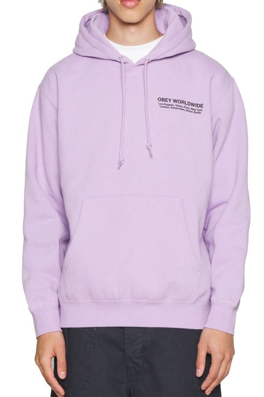 Abbigliamento OBEY | Felpa Con Cappuccio Obey Worldwide Cities Digital Lavender