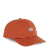 Accessori DICKIES | Cappellino Da Baseball Hardwick Bombay Brown