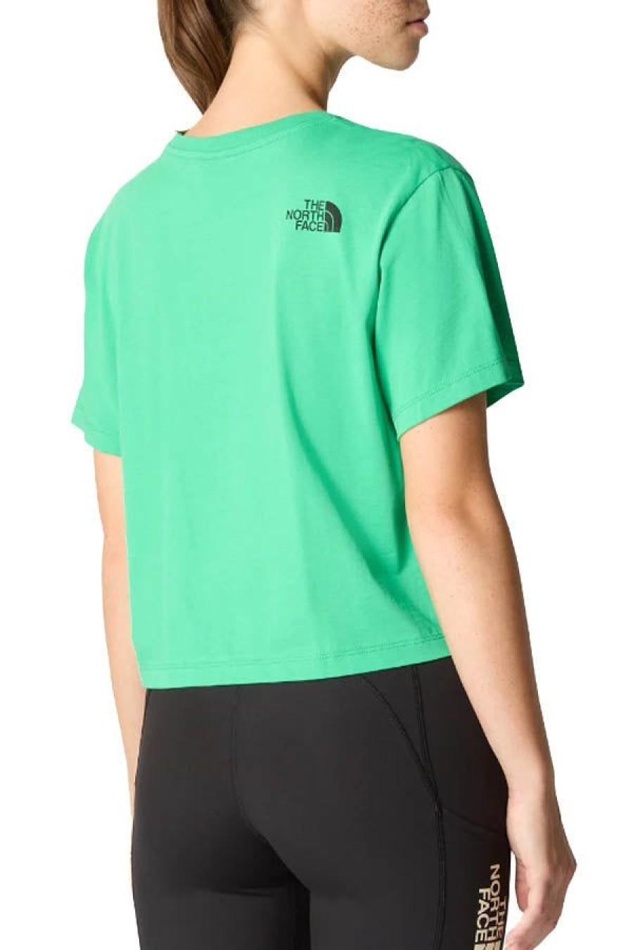 Abbigliamento THE NORTH FACE | T-Shirt Corta In Vita Fine Optic Emerald